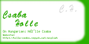 csaba holle business card